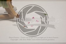 ref. photo 3433589