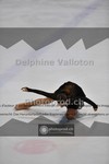 ref. photo 3913070