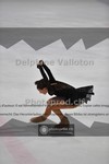 ref. photo 3913094