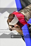 ref. photo 3913106