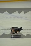 ref. photo 3913235