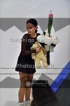 ref. photo 3914287