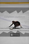 ref. photo 3914478