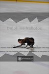 ref. photo 3914479