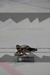 ref. photo 3916430