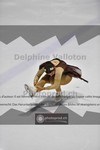 ref. photo 3917173