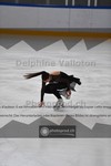 ref. photo 3922568