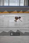 ref. photo 3923313