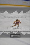 ref. photo 3924060