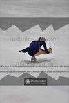 ref. photo 3924315