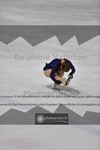 ref. photo 3924316
