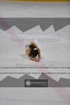 ref. photo 3924455