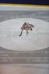 ref. photo 3030502