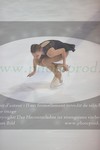 ref. photo 3030722
