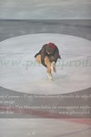 ref. photo 3035359