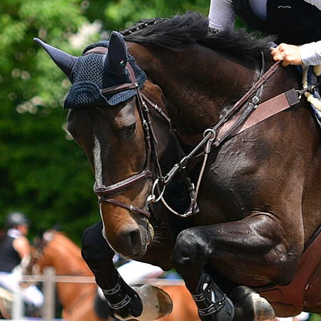 CS Aarberg 01.06.2025