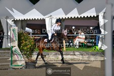 ref. photo 3641137