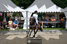 ref. photo 3641138