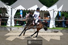 ref. photo 3641141