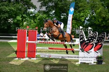 ref. photo 3641170