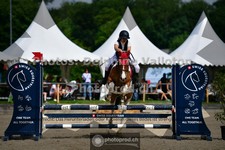 ref. photo 3641188