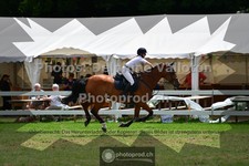 ref. photo 3641195