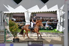 ref. photo 3641212