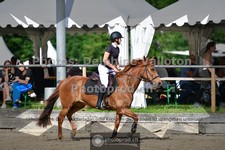 ref. photo 3641213