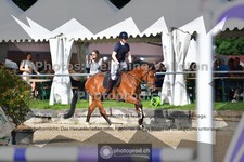 ref. photo 3641312