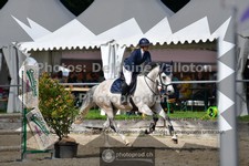 ref. photo 3641322