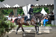 ref. photo 3641348