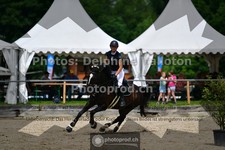 ref. photo 3641351
