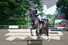 ref. photo 3641353