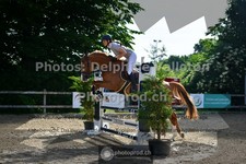 ref. photo 3641357