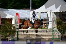 ref. photo 3641375