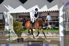 ref. photo 3641376