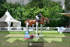 ref. photo 3641386