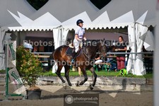 ref. photo 3641402