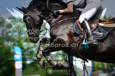 ref. photo 3641419