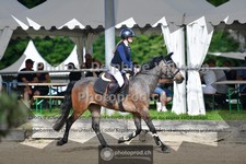 ref. photo 3641428