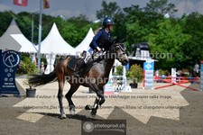ref. photo 3641436