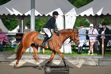 ref. photo 3641446