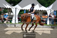 ref. photo 3641450