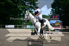 ref. photo 3641468