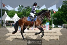 ref. photo 3641494