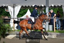 ref. photo 3641515