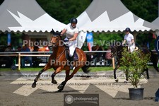 ref. photo 3641518