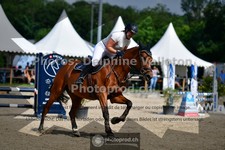 ref. photo 3641521