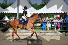 ref. photo 3641526