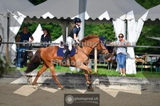ref. photo 3641531